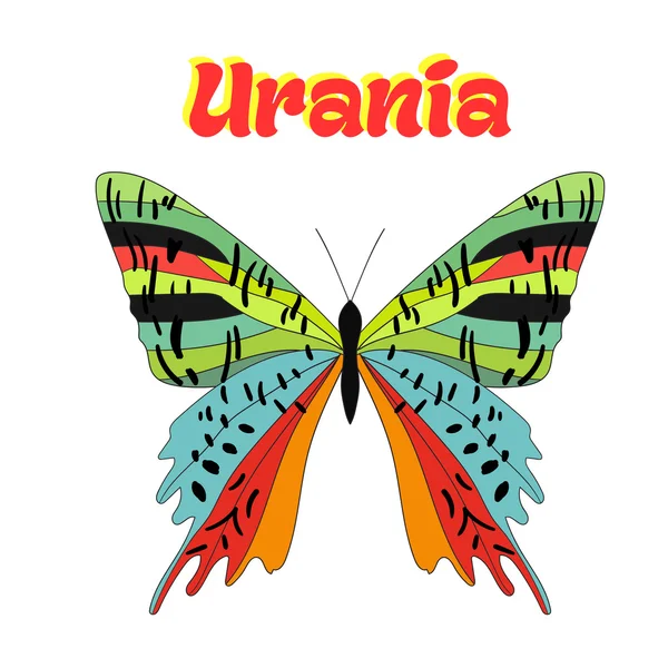 Butterfly urania vektor illustration — Stock vektor