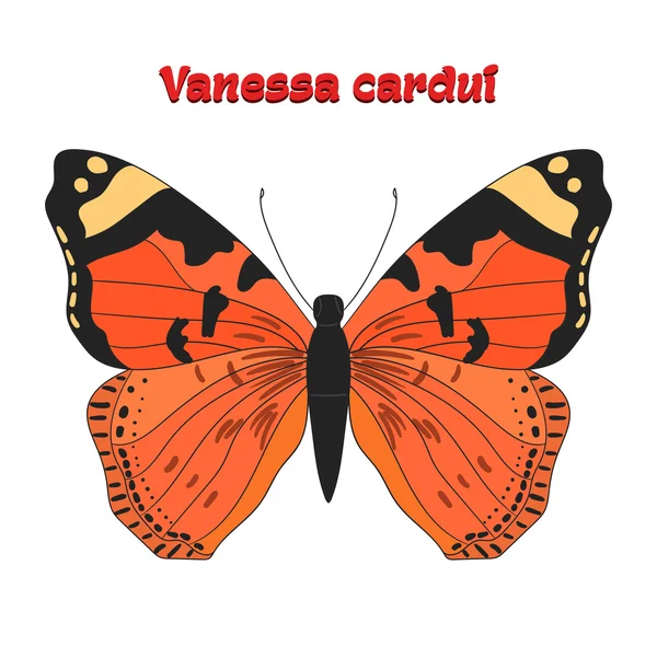 Butterfly vanessa cardui vectorillustratie — Stockvector