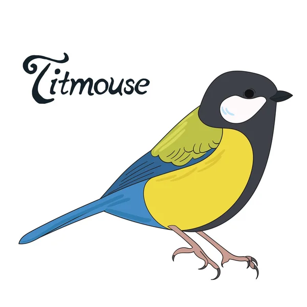 Pájaro titmouse vector ilustración — Vector de stock