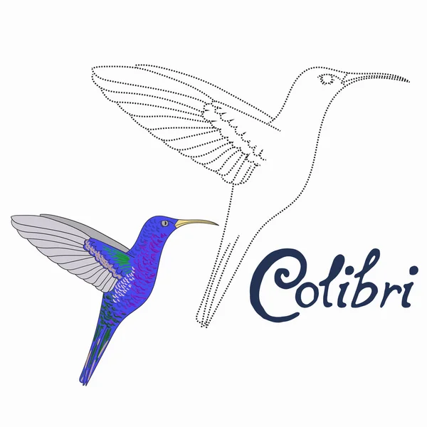 Juego educativo conectar puntos para dibujar colibri pájaro — Vector de stock