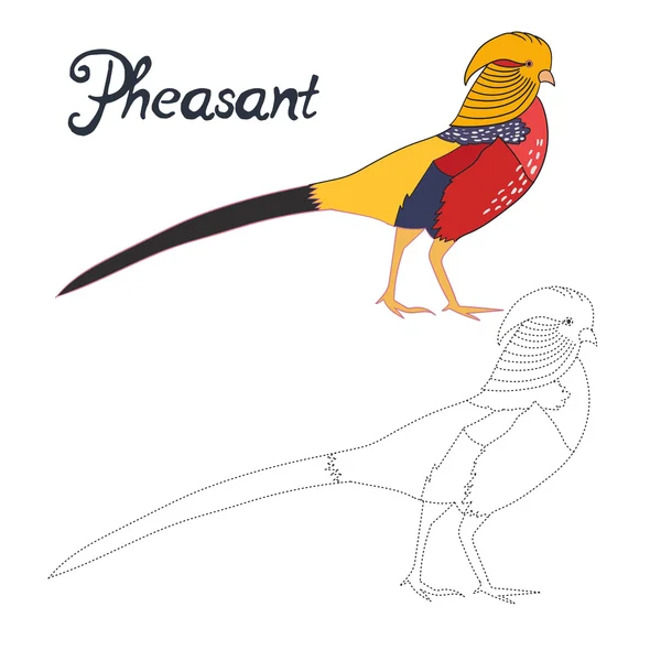 Jeu éducatif connecter les points dessiner l'oiseau faisan — Image vectorielle