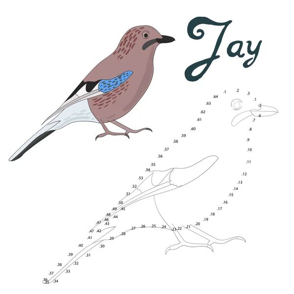 Juego educativo conectar puntos para dibujar jay bird — Vector de stock