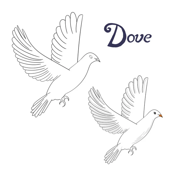 Educational game coloring book dove bird — Stock Vector