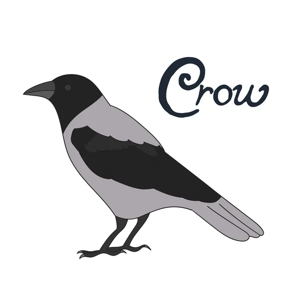 Illustration vectorielle corneille oiseau — Image vectorielle