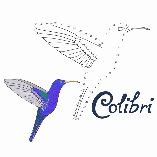 Permainan pendidikan menghubungkan titik-titik untuk menggambar burung colibri - Stok Vektor