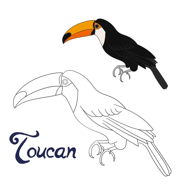 Juego educativo para colorear libro toucan ave vector — Vector de stock