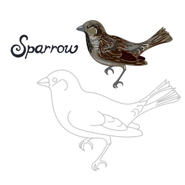 Pedagogiska spel ansluta prickar man drar sparrow fågel — Stock vektor