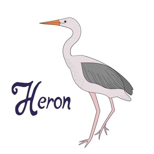 Fågel heron vektor illustration — Stock vektor