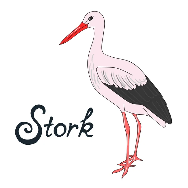 Pájaro cigüeña vector ilustración — Vector de stock