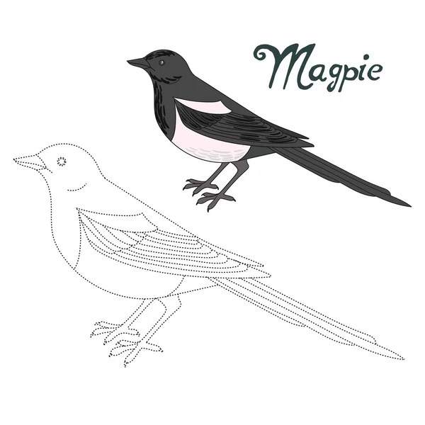 Jogo educativo conectar pontos para desenhar pássaro magpie —  Vetores de Stock