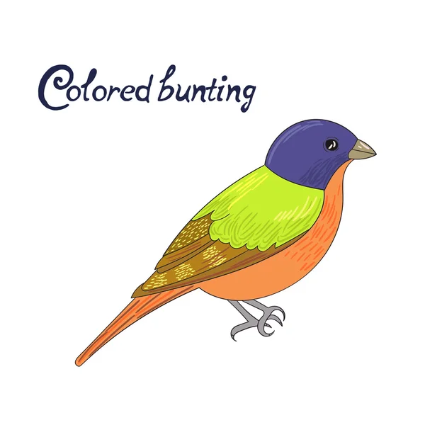 Ptak kolorowych ilustracji wektorowych trznadel — Wektor stockowy