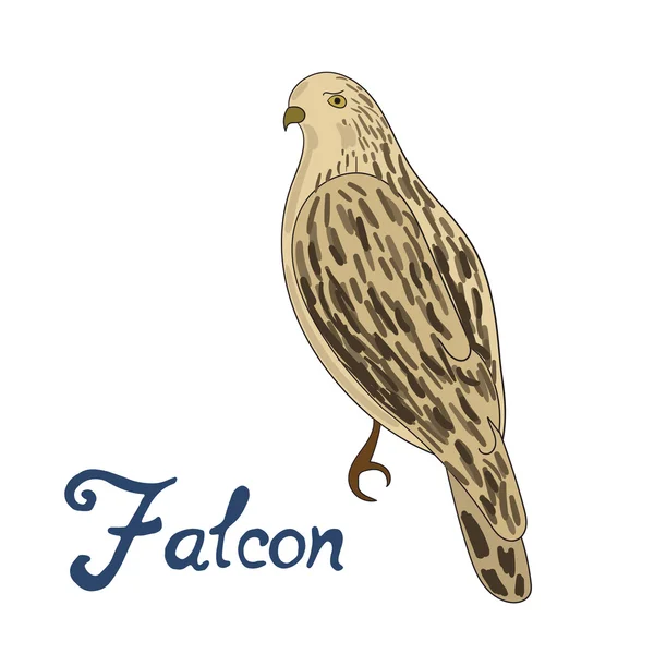 Halcón pájaro vector ilustración — Vector de stock