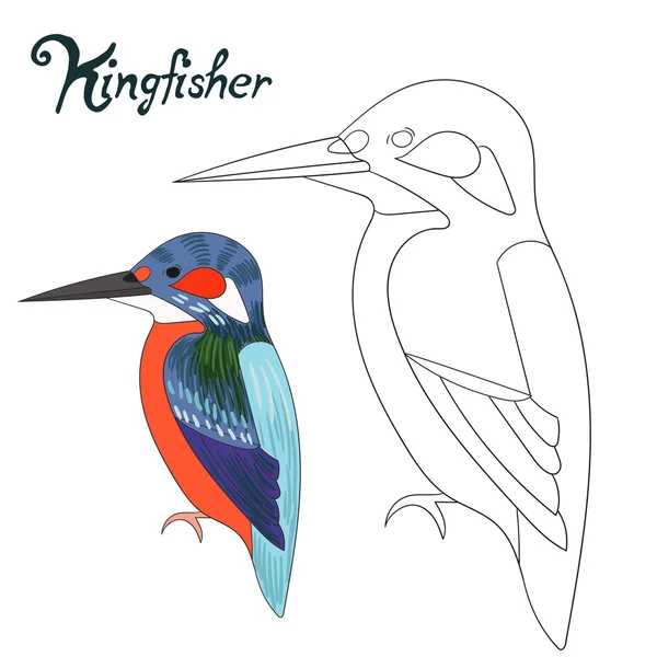 Pedagogiska spel coloring book kingfisher fågel — Stock vektor