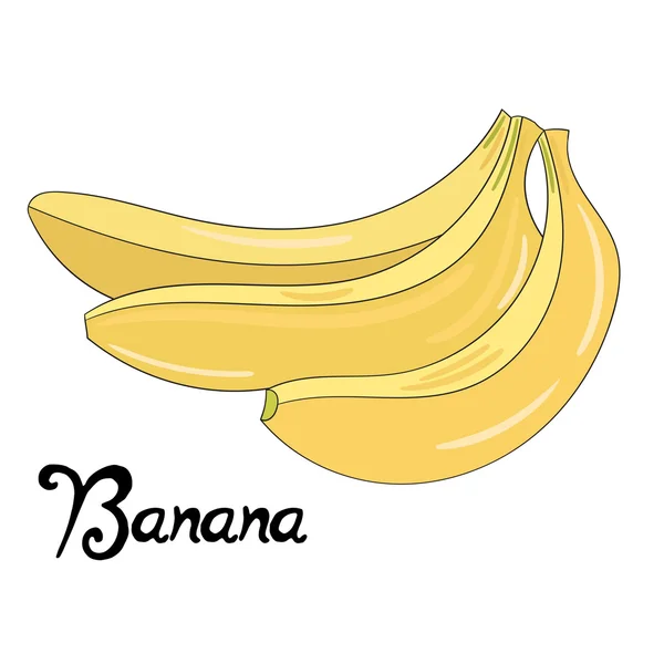 Fruto banana vetor ilustração — Vetor de Stock