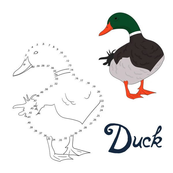 Juego educativo conectar puntos para dibujar pájaro pato — Vector de stock