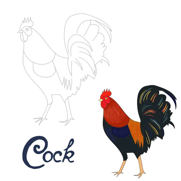 Juego educativo conectar puntos para dibujar gallo pájaro — Vector de stock