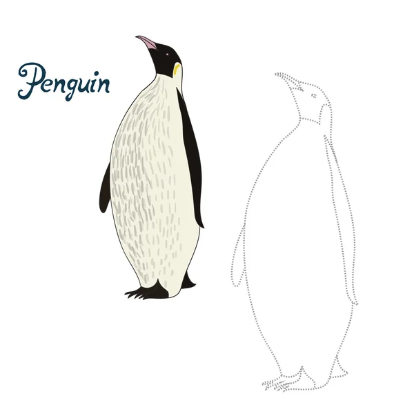 Juego educativo conectar puntos para dibujar pájaro pingüino — Archivo Imágenes Vectoriales