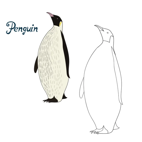 Juego educativo para colorear libro pingüino aves vector — Archivo Imágenes Vectoriales