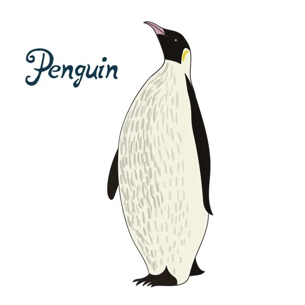 Векторная иллюстрация птиц-пингвинов — стоковый вектор