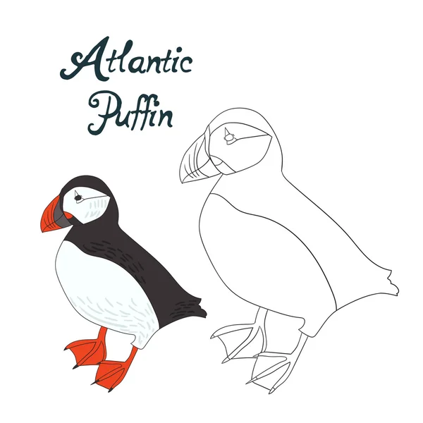 Gioco educativo libro da colorare puffin uccello — Vettoriale Stock