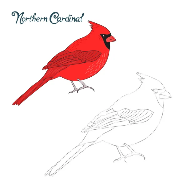 Educational game connect dots draw cardinal bird — Stock Vector
