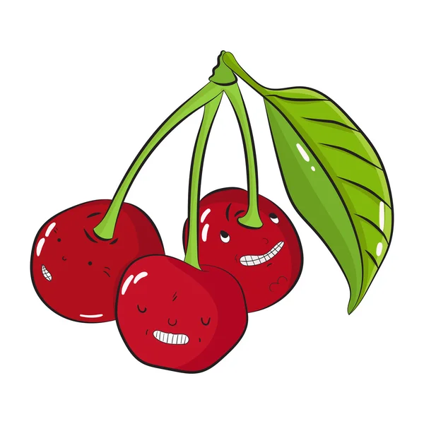 Plody třešně vektorové ilustrace — Stockový vektor