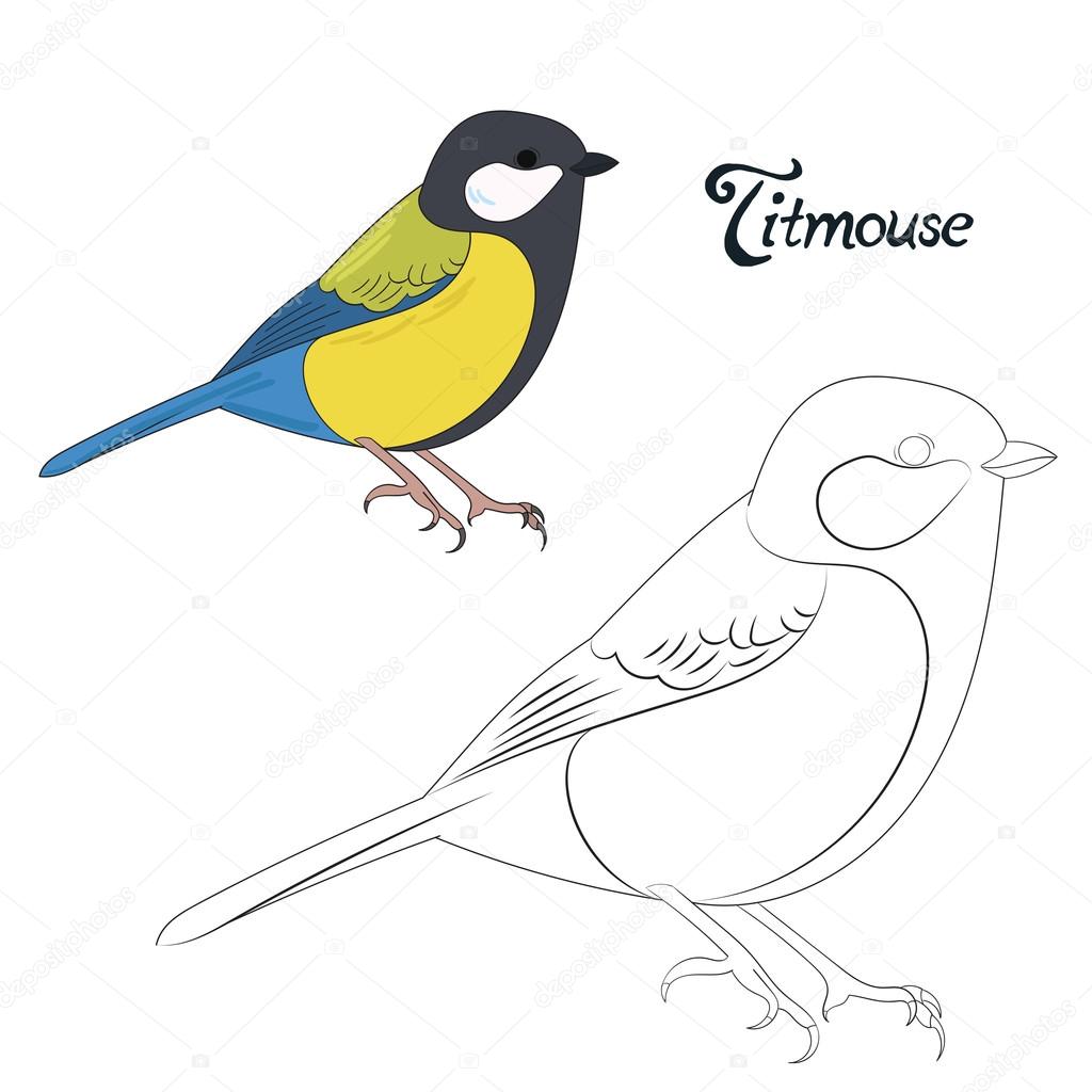 Educational game coloring book bird  vector