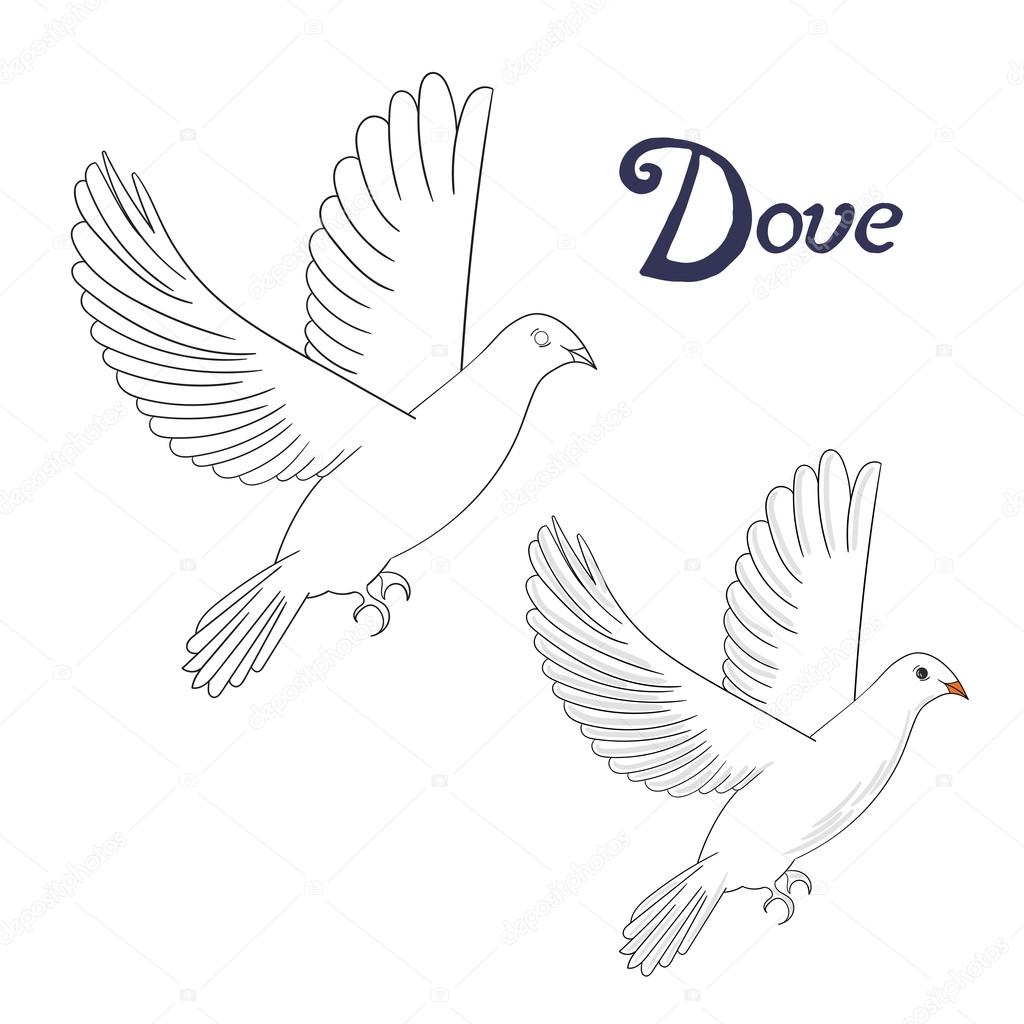 Educational game coloring book dove bird