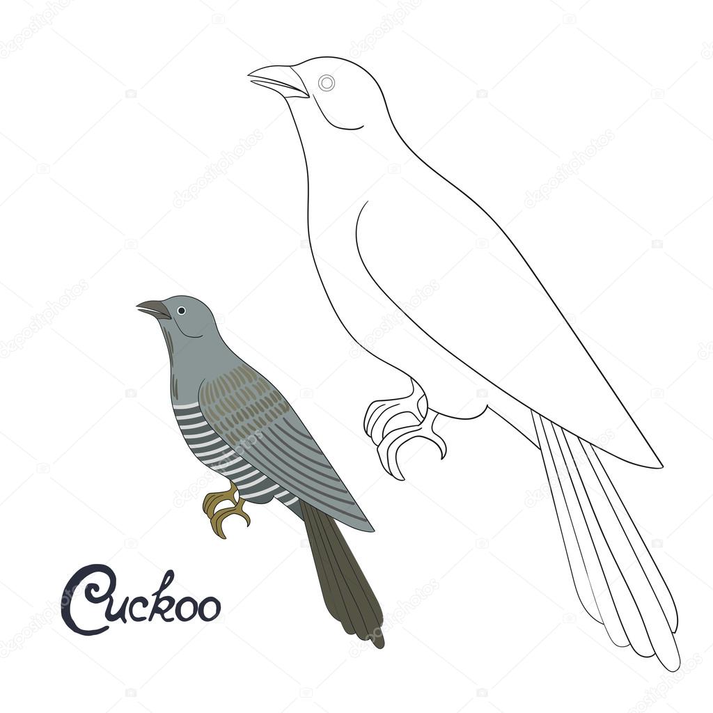 Educational game coloring book cuckoo bird vector