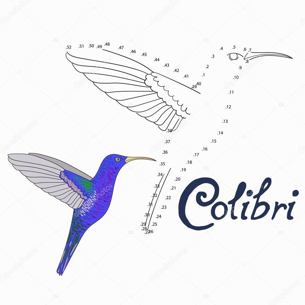 Gioco educativo puntini disegnare uccelli colibri — Vettoriale Stock