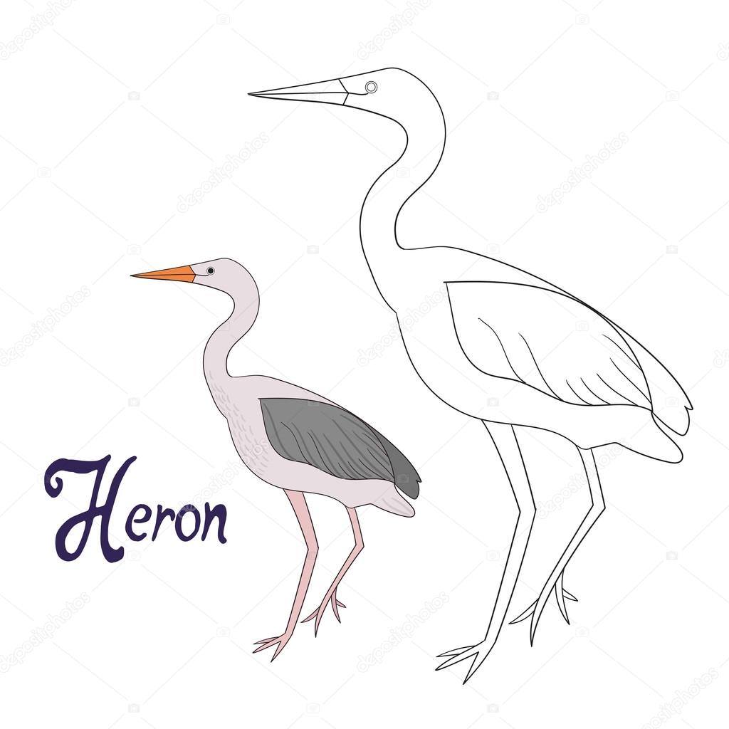 Jeu éducatif Héron Livre De Coloriage Oiseau Image