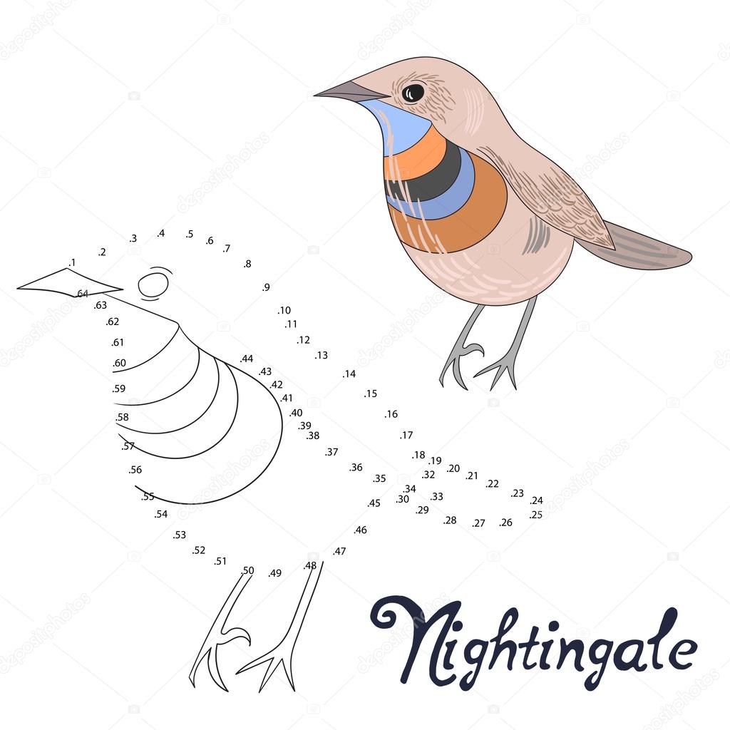 educational game connect dots draw bird stock vector 87434940