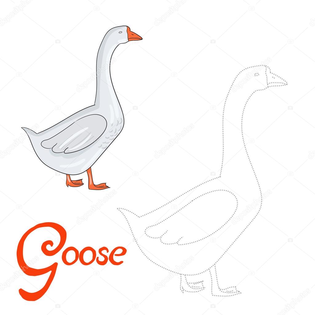 Gioco educativo puntini disegnare oca uccello — Vettoriale Stock