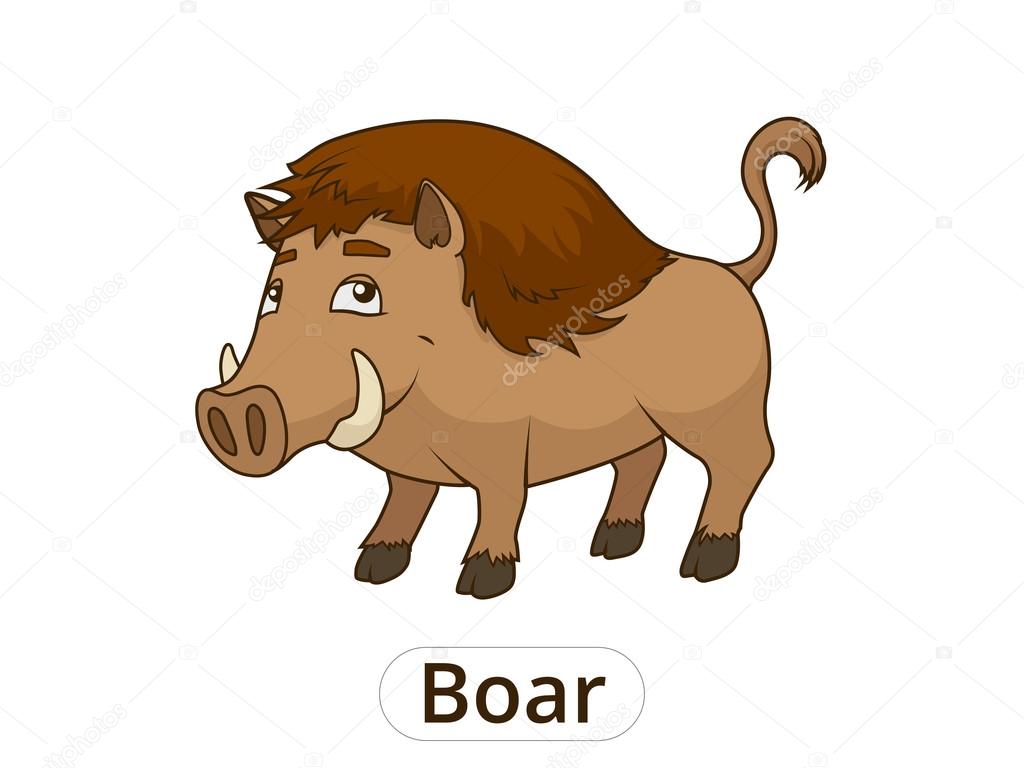 Forest animal boar cartoon for children vector