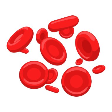 Red blood cell erythrocyte vector illustration clipart