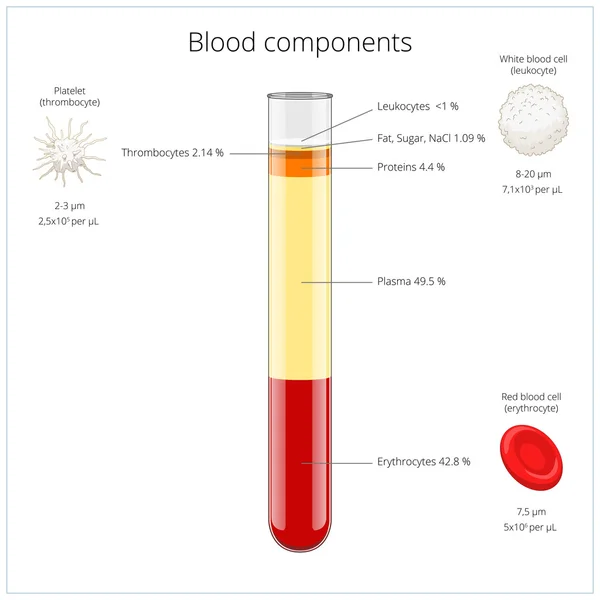 血のコンポーネントの医療のベクトル図 — ストックベクタ