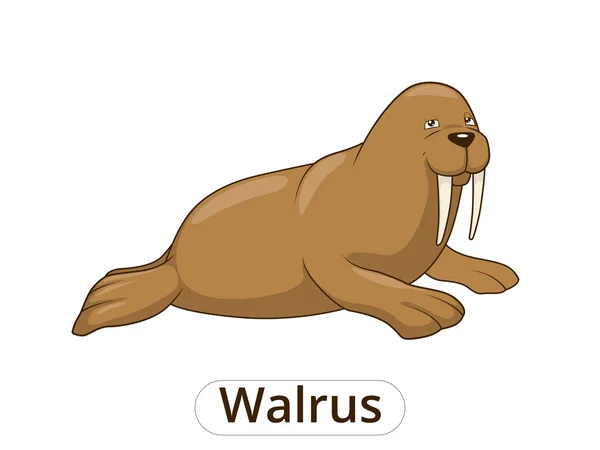 Walrus Cartoon Vector Ilustração — Vetor de Stock