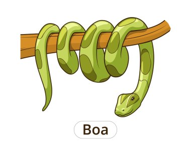 Boa snake cartoon vector illustration clipart