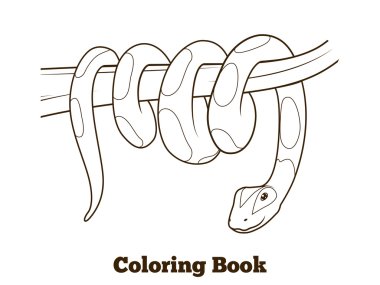 Boa cartoon coloring book vector illustration clipart