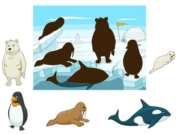 Ártico animales juego educativo para los niños vector — Archivo Imágenes Vectoriales
