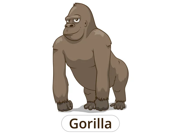 Gorilla cartoon vectorillustratie — Stockvector