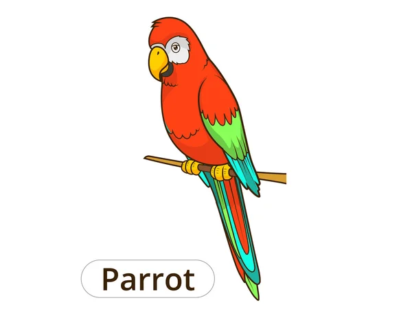 Papagaio desenho animado ilustração vetorial — Vetor de Stock