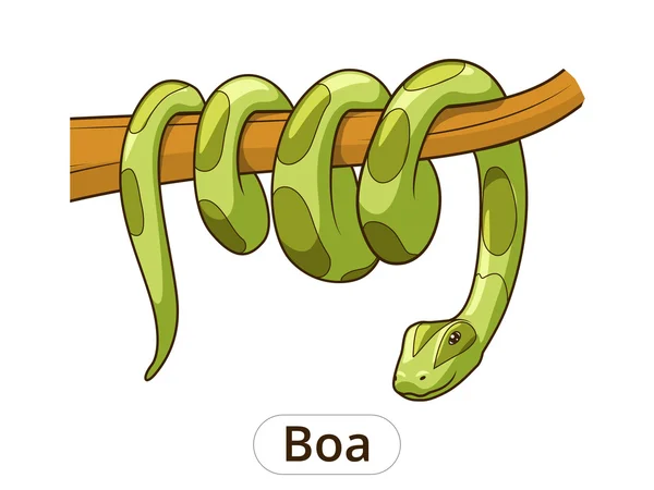 Boa serpiente ilustración vector de dibujos animados — Vector de stock