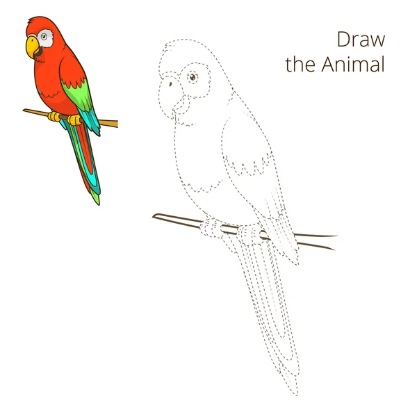 Nakreslete vzdělávací hra vektorových zvíře papoušek — Stockový vektor