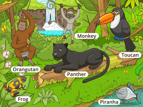 Лес джунглей с вектором мультфильмов
