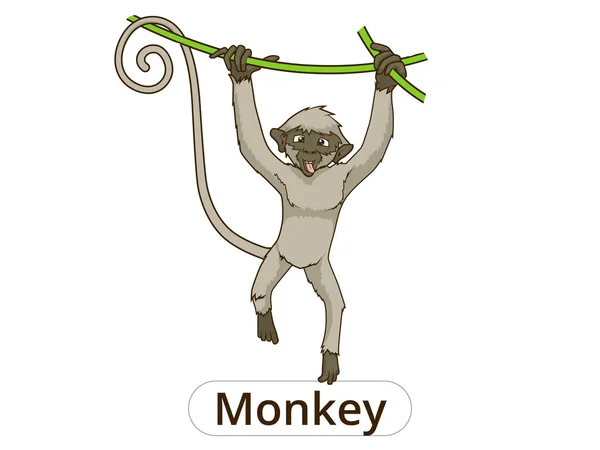 Вектор обезьяны — стоковый вектор