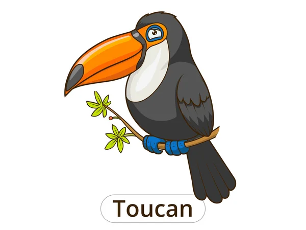 Toucan vogel cartoon vectorillustratie — Stockvector