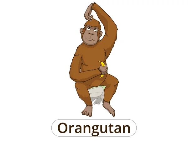 Orangutan karikatür vektör çizim — Stok Vektör