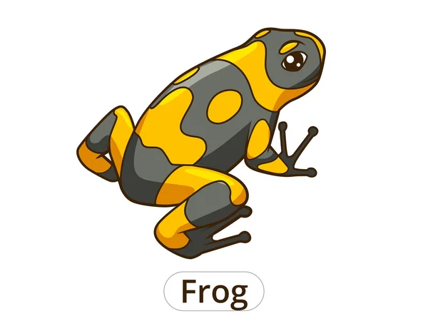 Illustration vectorielle de dessin animé grenouille — Image vectorielle