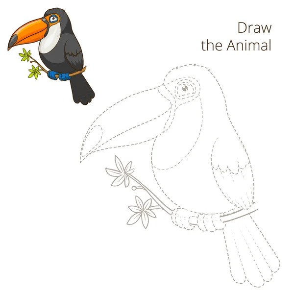 Dibujar el animal toucan juego educativo vector — Vector de stock